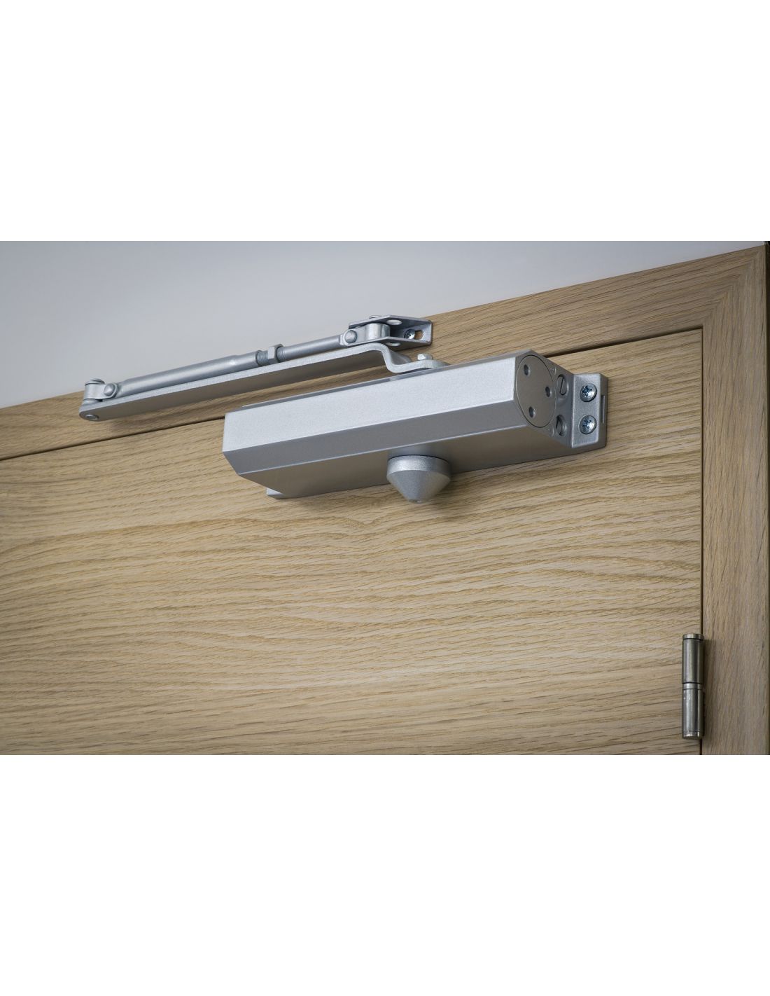 Amortizor Usa 60 kg Hidraulic Reversibil Argintiu Thirard - imagine 2