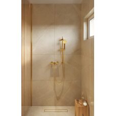 Baterie Dus Iesire Inferioara Fiesta Aurie