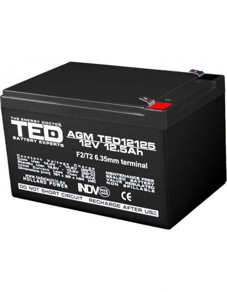 Acumulator 12V 12.5AH Plumb Acid Terminal F2/T2